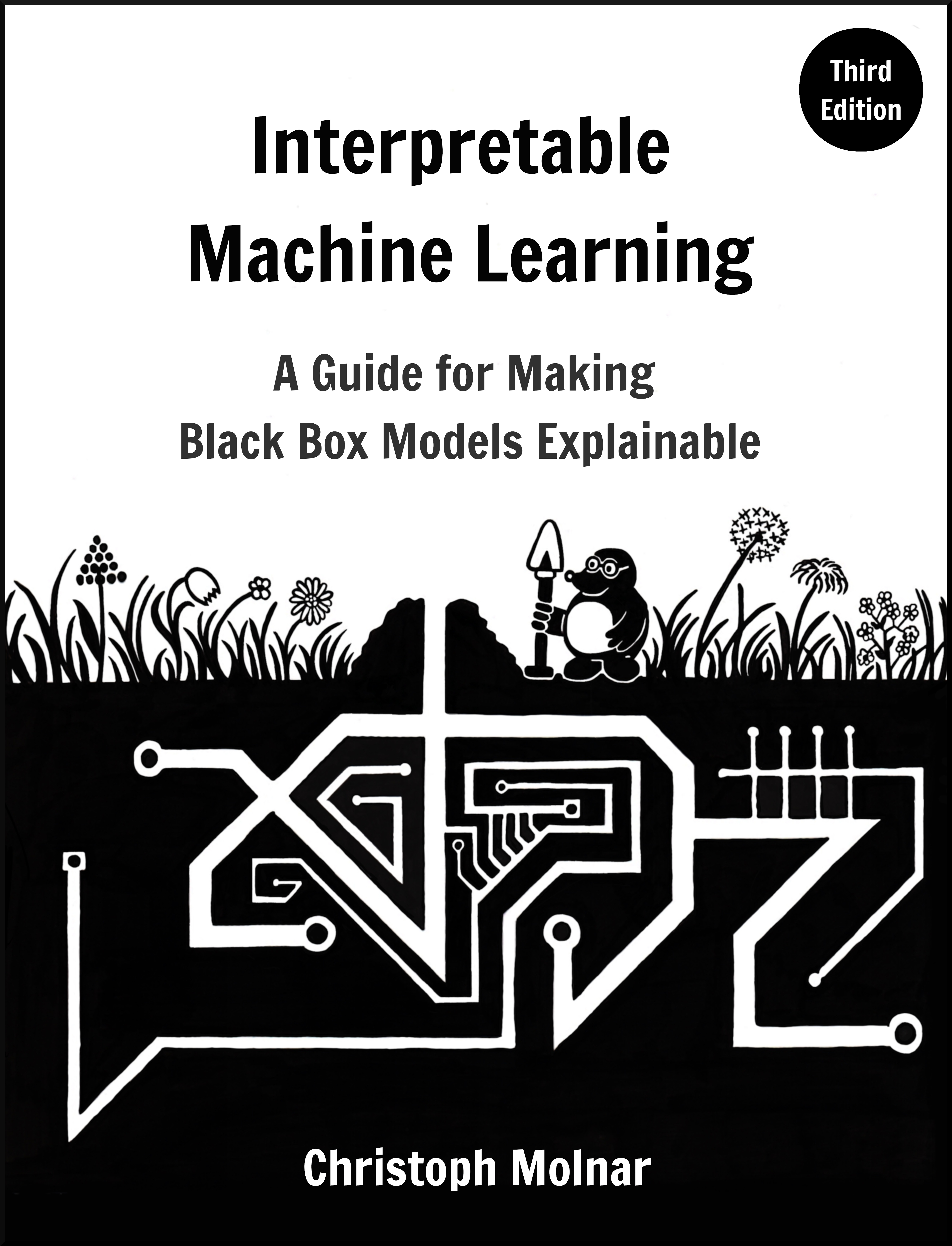 Interpretable Machine Learning