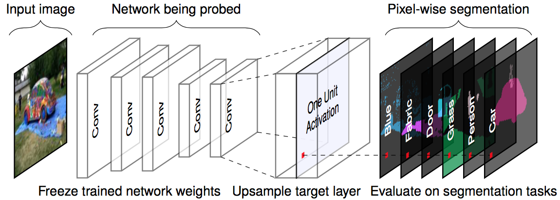 For a given input image and a trained network (fixed weights), we propagate the image forward to the target layer, upscale the activations to match the original image size and compare the maximum activations with the ground truth pixel-wise segmentation. Figure originally from http://netdissect.csail.mit.edu/.
