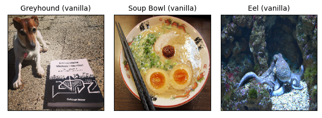 Images of a dog classified as greyhound, a ramen soup classified as soup bowl, and an octopus classified as eel.