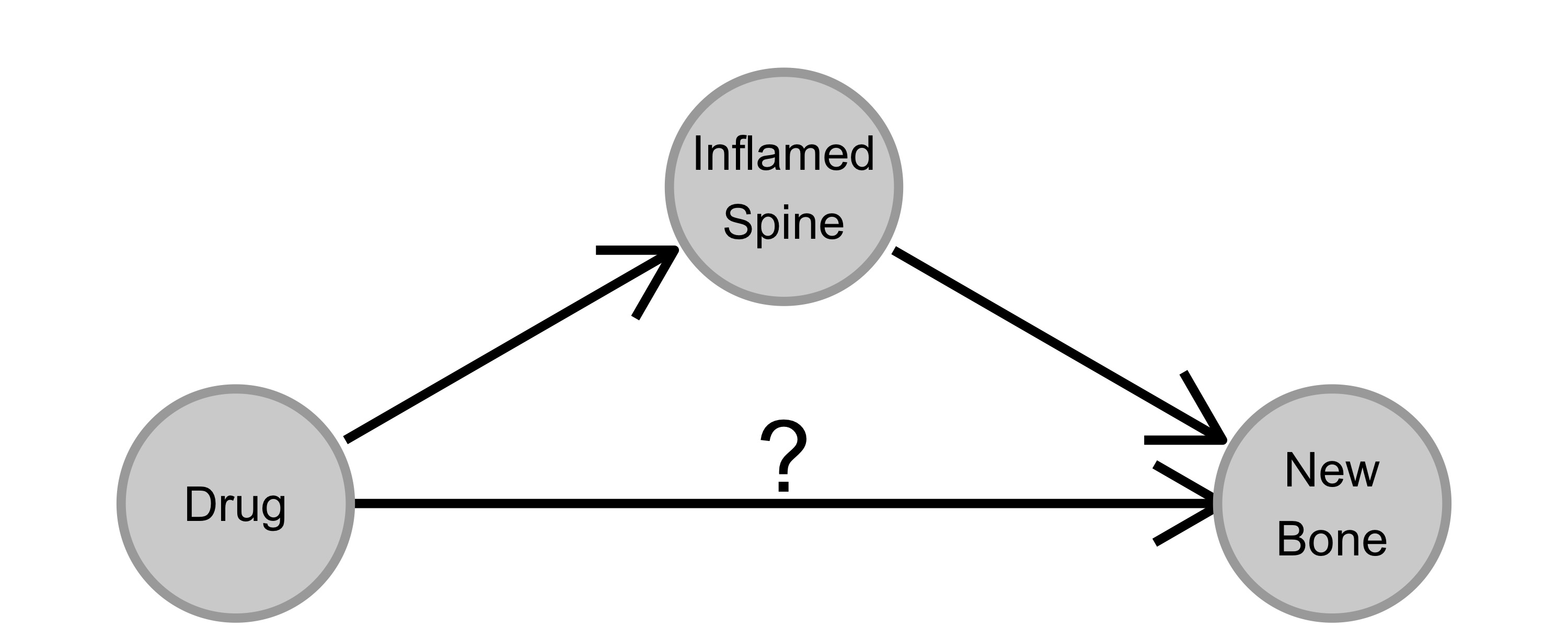 The drug was known to influence (reduce) inflammation. Inflammation was thought to cause ossification (new bone formation). The drug can, in theory, reduce ossification in two ways: directly, or indirectly via reducing inflammation.